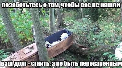 позаботьтесь о TOM, чтобы Bac HE нашли 1 сгнить, а не быть переваренным a