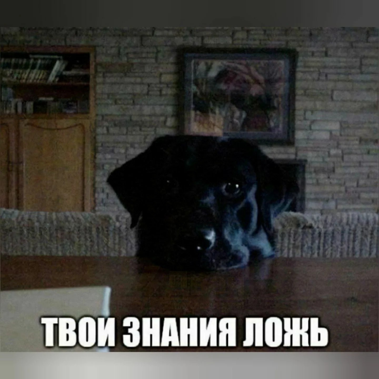 ТВОИ ЗНАНИЯ ЛОЖЬ
