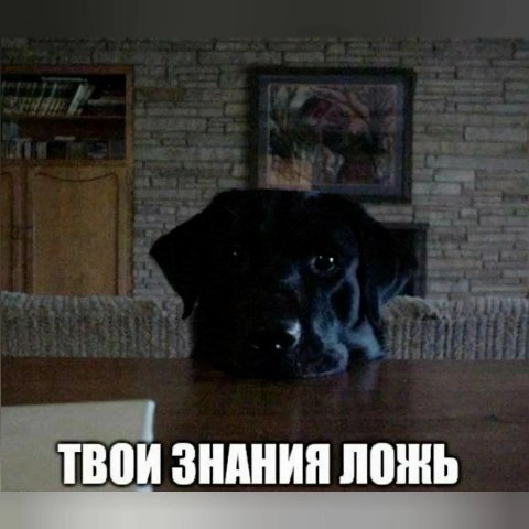 ТВОИ ЗНАНИЯ ЛОЖЬ