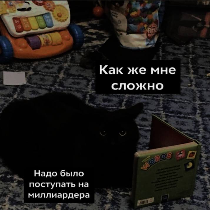 Как же мне сложно Надо было поступать на миллиардера
