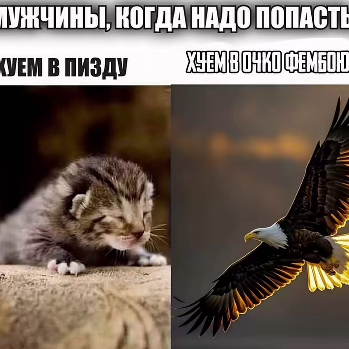 КОГДА НАДО ПОПАСТЕ ХЗЕМВ УЕМ В ПИЗДУ 8