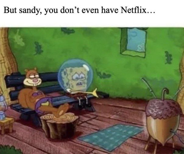 But sandy, you don’t even have Netflix...