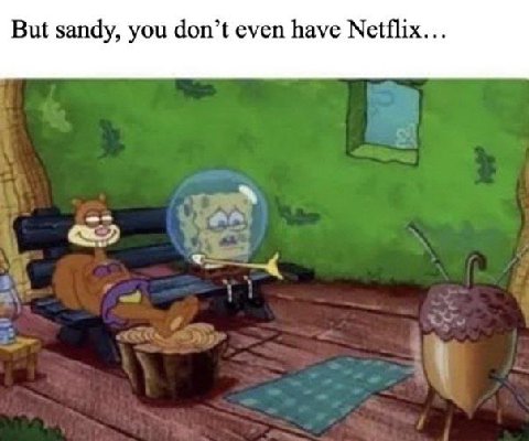 But sandy, you don’t even have Netflix...