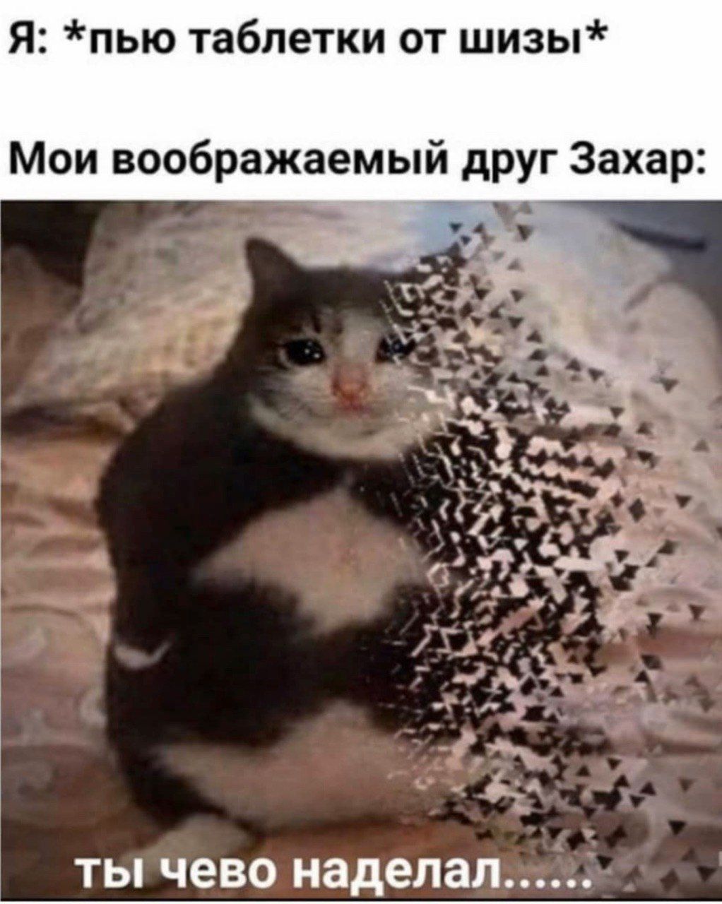 Я: *пью таблетки от шизы* Мои воображаемый друг Захар ты чево наделал