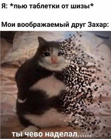 Я: *пью таблетки от шизы* Мои воображаемый друг Захар ты чево наделал