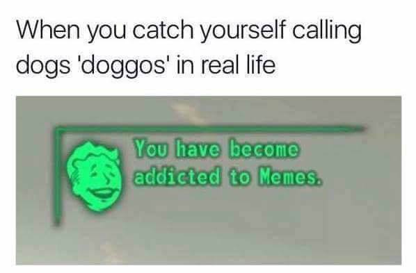 When you catch yourself calling dogs 'doggos' in real life