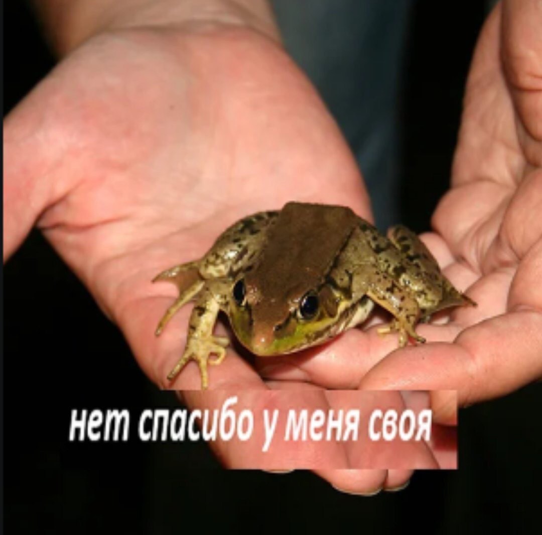 2 нет спасибо у меня своя