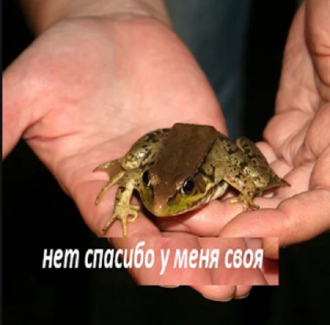 2 нет спасибо у меня своя