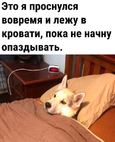 Это я проснулся вовремя и лежу в кровати, пока не начну опаздывать. 4