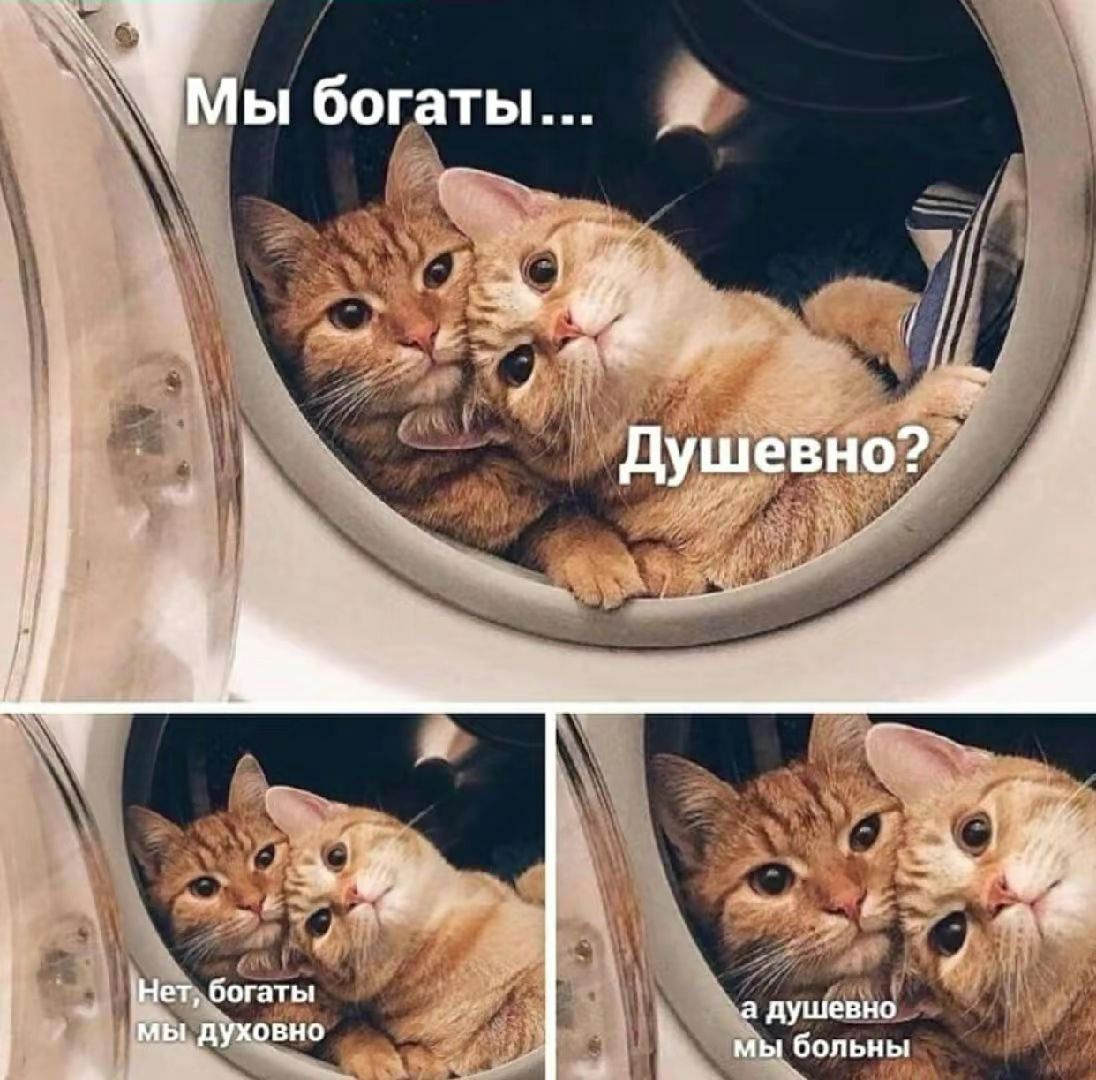 нормально

👤 штиирлиц чепушила🤓