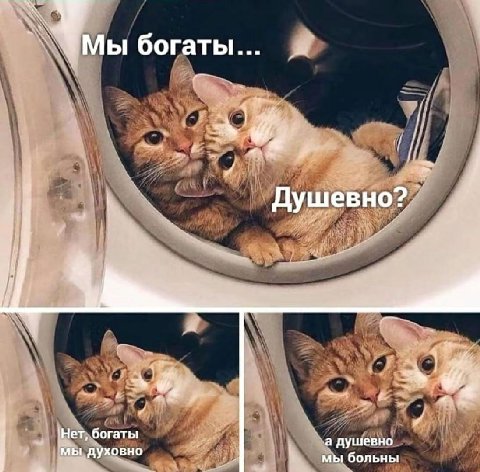 нормально

👤 штиирлиц чепушила🤓