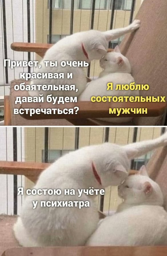 ATbI очень и обаятельная Я люблю состоятельных давай будем встречаться? мужчин a Я на учете -У психиатра