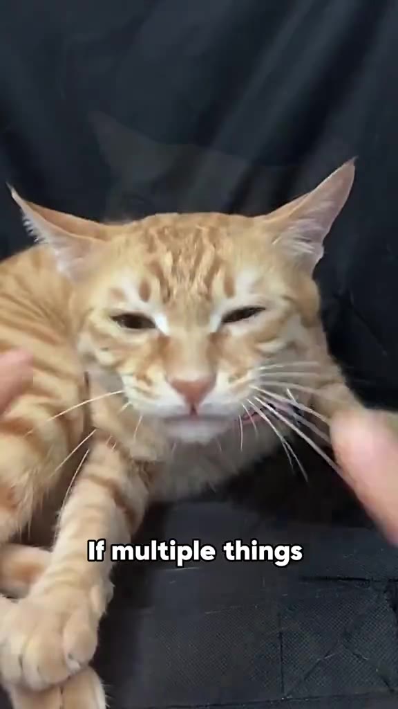 ВИ multiple things р: as soonjas) there and ifithe}fingerjis;