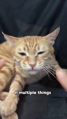 ВИ multiple things р: as soonjas) there and ifithe}fingerjis;