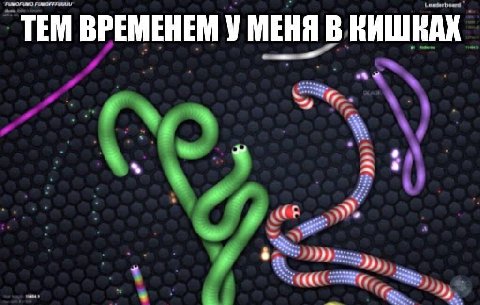 ТЕМ ВРЕМЕНЕМ У МЕНЯ В КИШКАХ