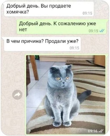 Добрый день. Вы продаете хомячка? 09:15 Добрый день. К сожалению уже нет 09:15 В чем причина? Продали уже?