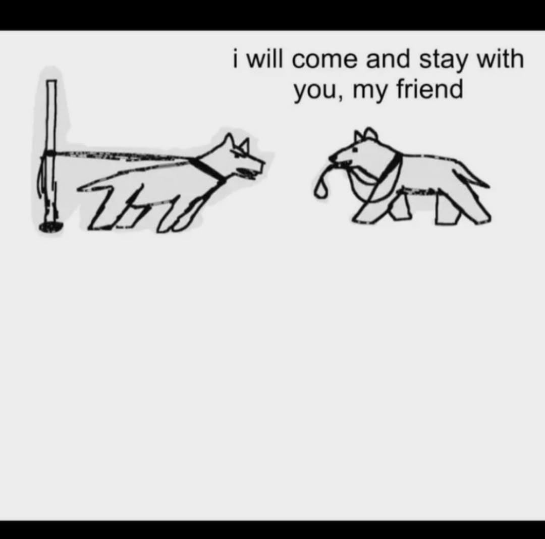 i will come and stay with you, my friend