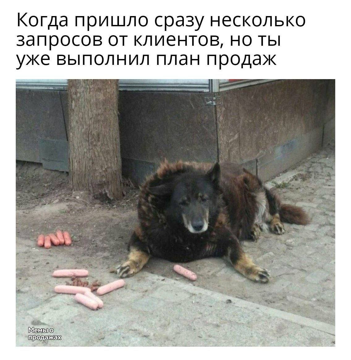 Когда пришло сразу несколько запросов от клиентов, но ты уже выполнил план продаж