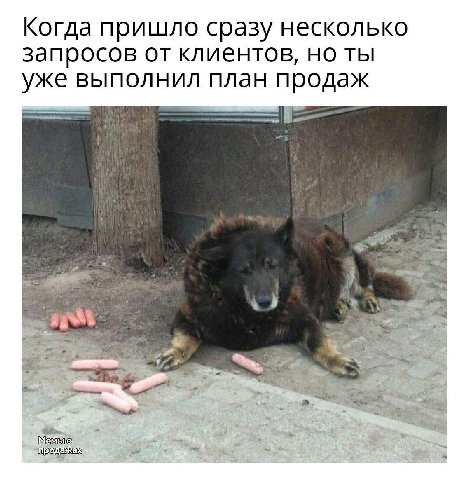 Когда пришло сразу несколько запросов от клиентов, но ты уже выполнил план продаж