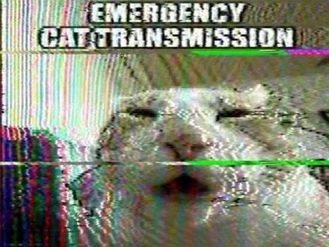 CALTRANSMISSION