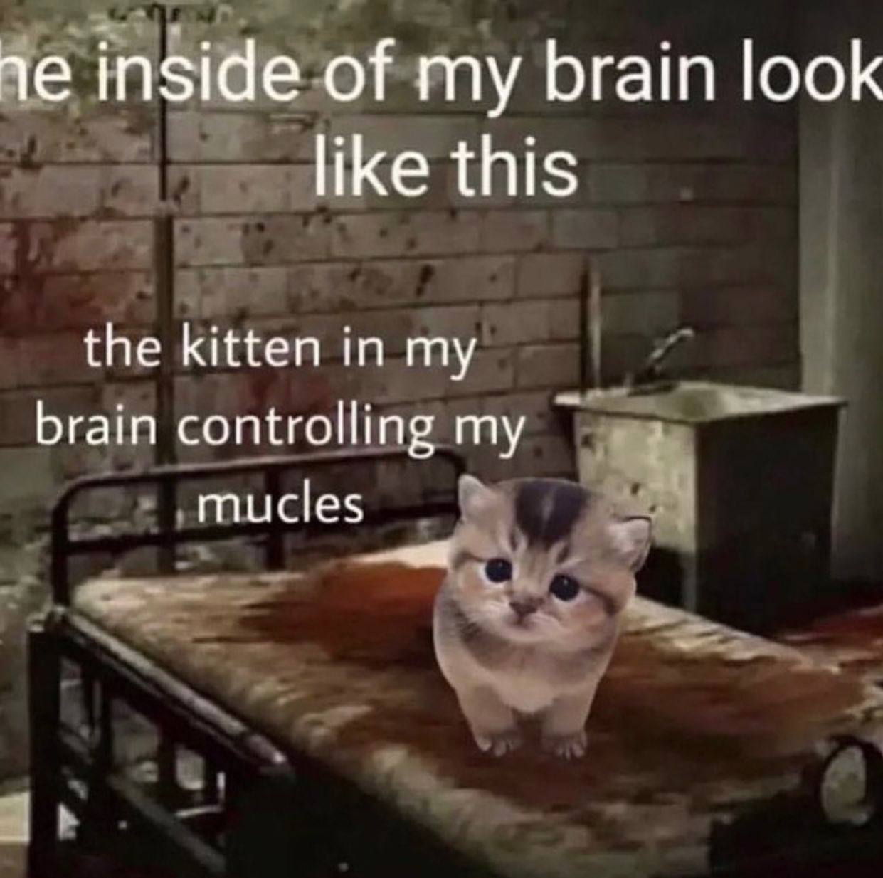les go kiten