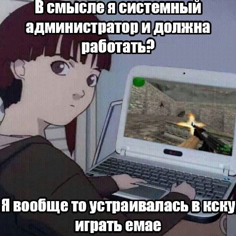 В смысле я системный администратор и должна Я вообще то устраивалась в кску играть емае