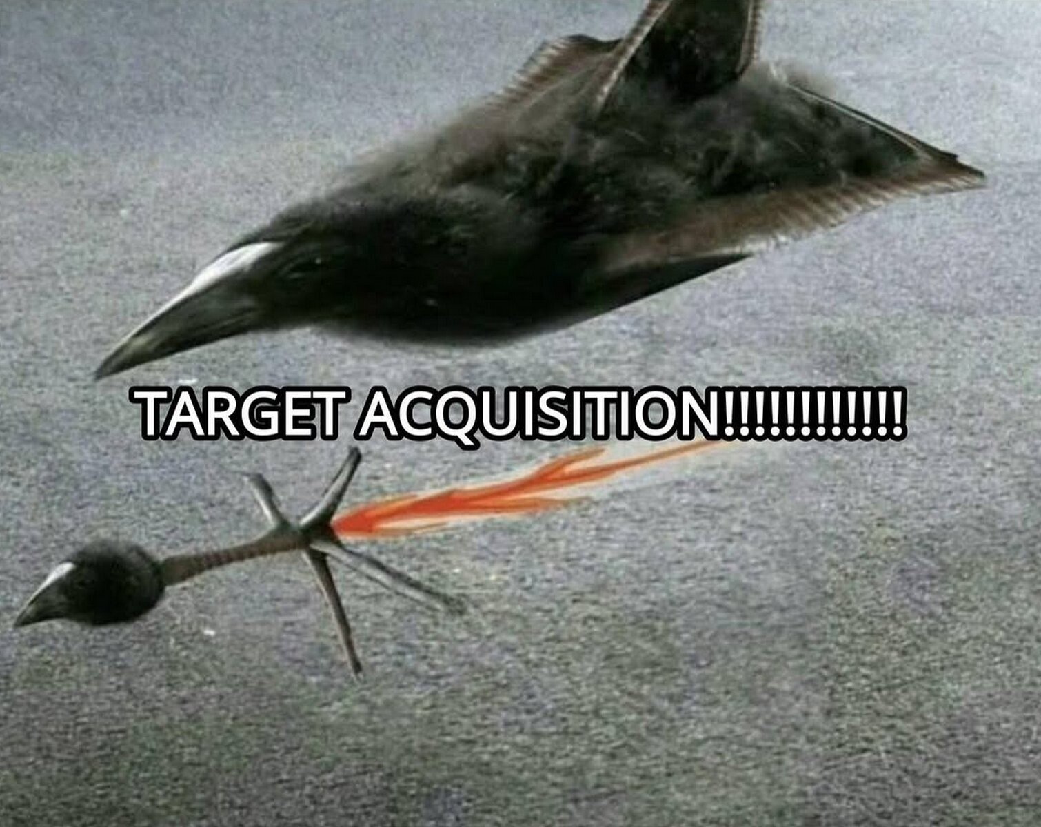 TARGET