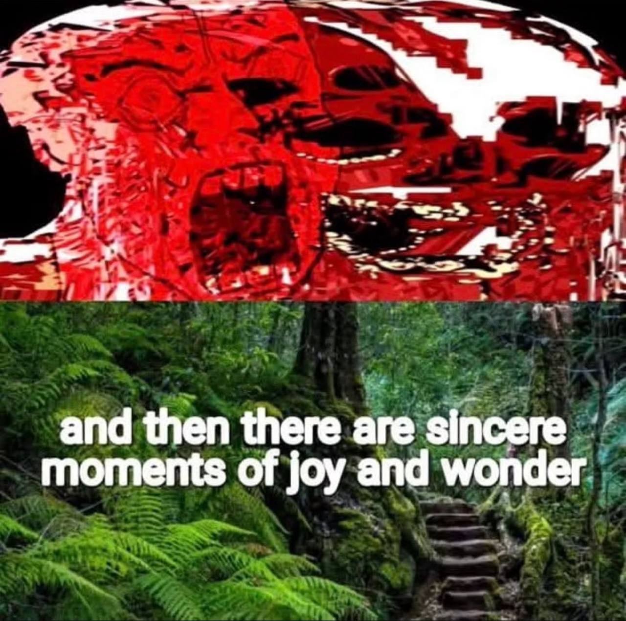 at me and then there are sincere moments of joy and wonder
