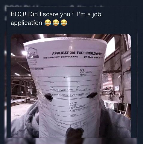 👤 empörung