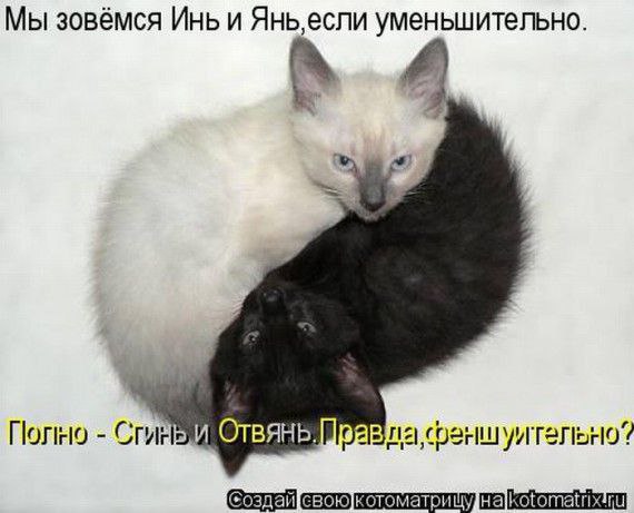 Мы зовёмся Инь и уменьшительно. Полно