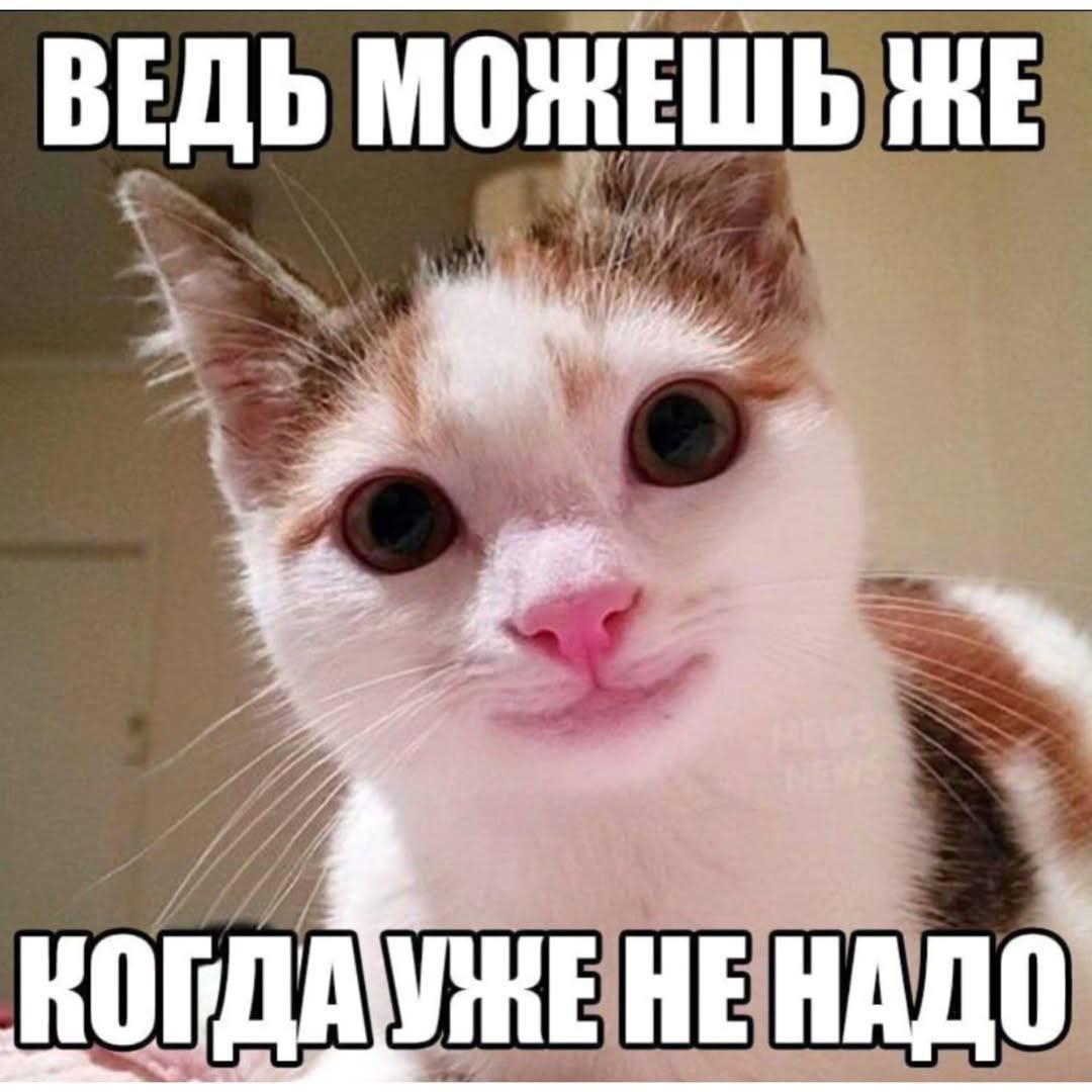ВЕДЬ МОЖЕШЬ НЕНАДО
