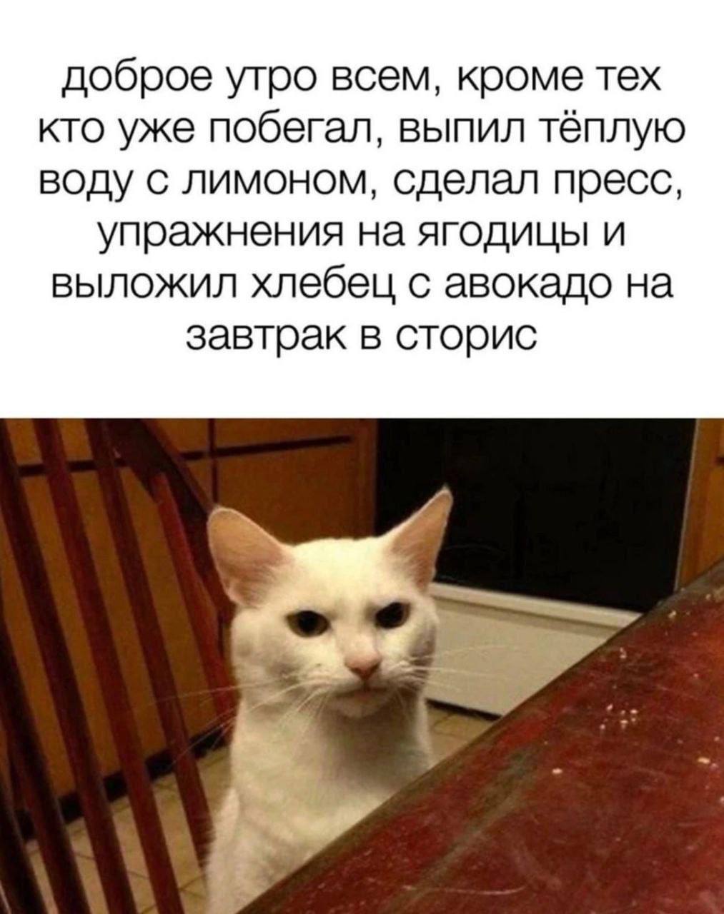 доброе утро всем, кроме тех кто уже побегал, выпил тёплую воду с лимоном, сделал пресс, упражнения на ягодицы и выложил хлебец с авокадо на завтрак в сторис
