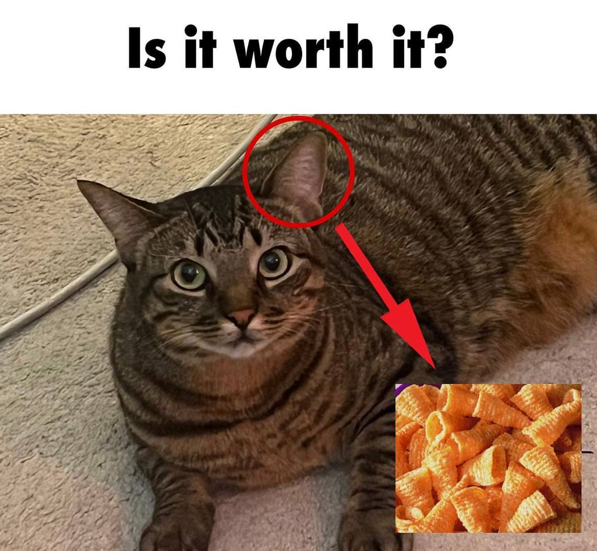 Is it it? it worth it: or thet on
