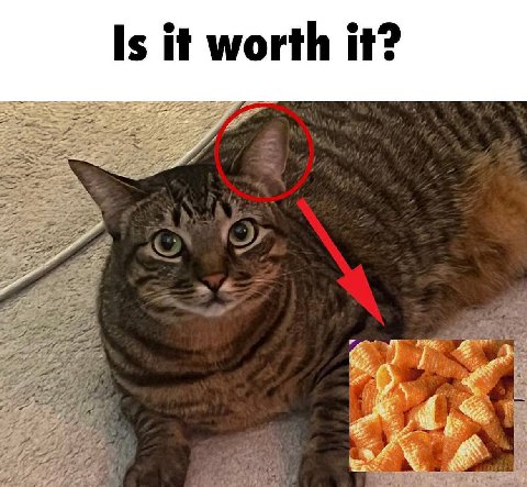Is it it? it worth it: or thet on