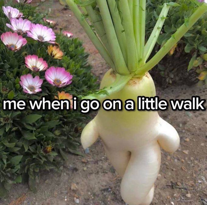 me whenii on a little walk
