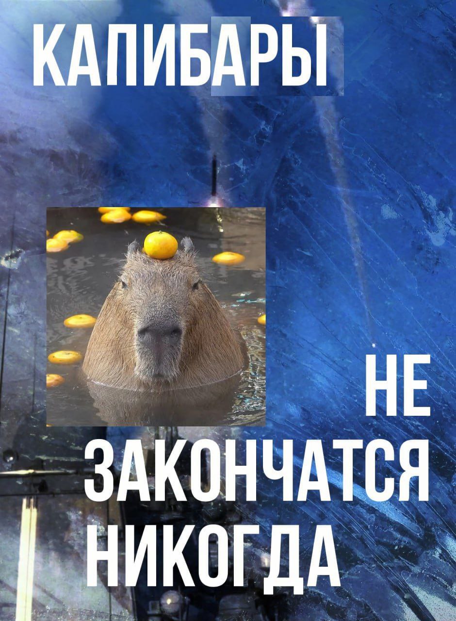 КАПИБАРЫ ЗАКОНЧАТСЯ НИКОГДА