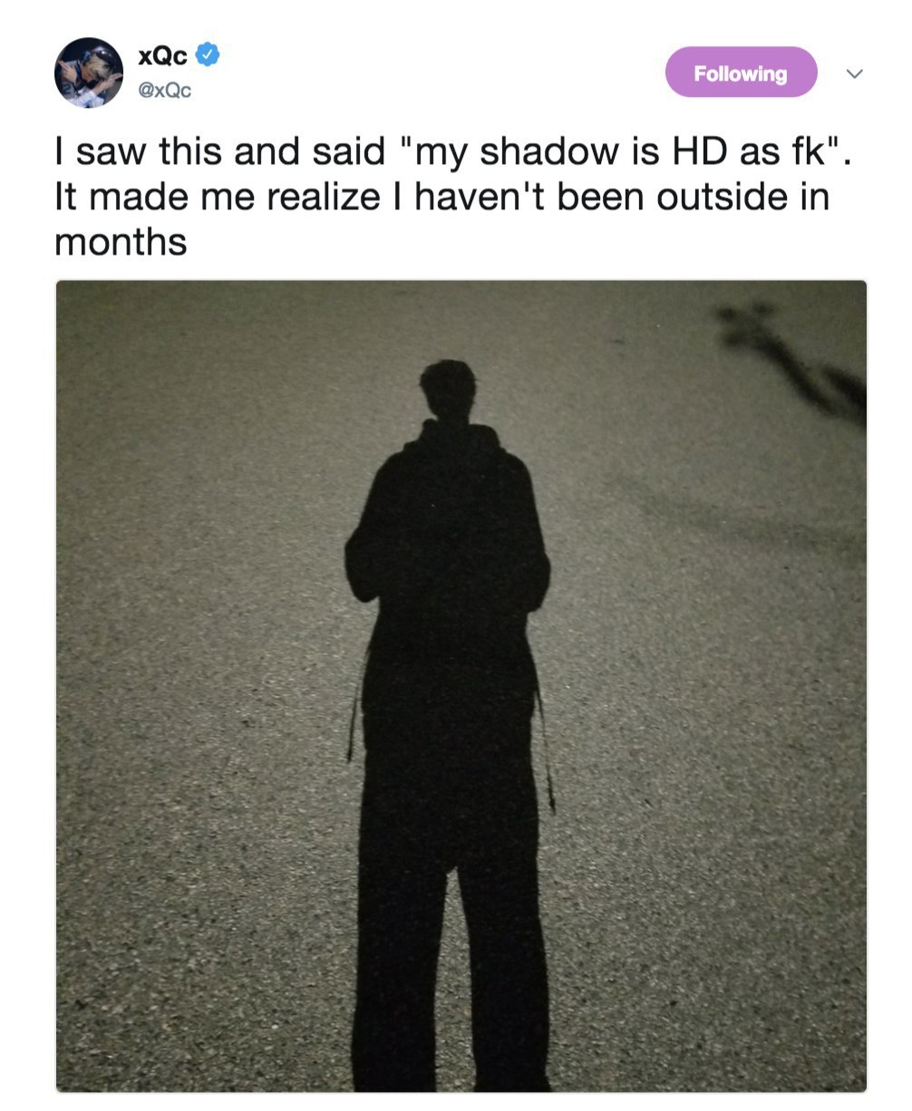 xQc @xQc saw this and said "my shadow is as It made me realize haven't been outside in months