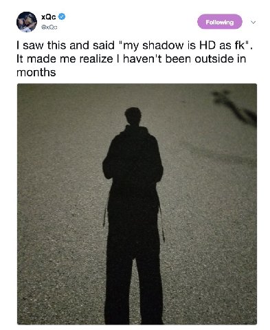 xQc @xQc saw this and said "my shadow is as It made me realize haven't been outside in months