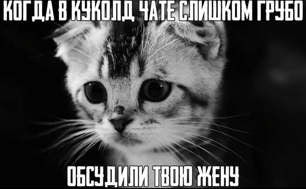 НОГДА В а ОБСУДИЛИ ТВОЮ ЖЕНУ