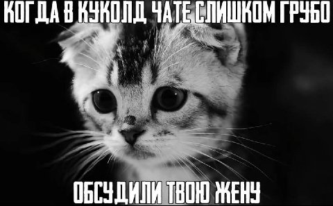 НОГДА В а ОБСУДИЛИ ТВОЮ ЖЕНУ