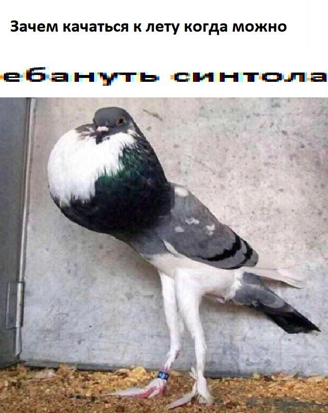 Зачем качаться к лету когда можно 4