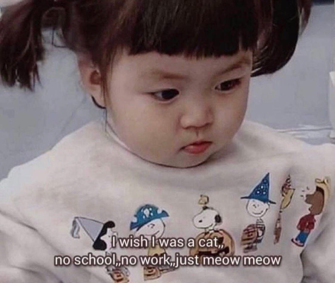 а по school,,no meow meow