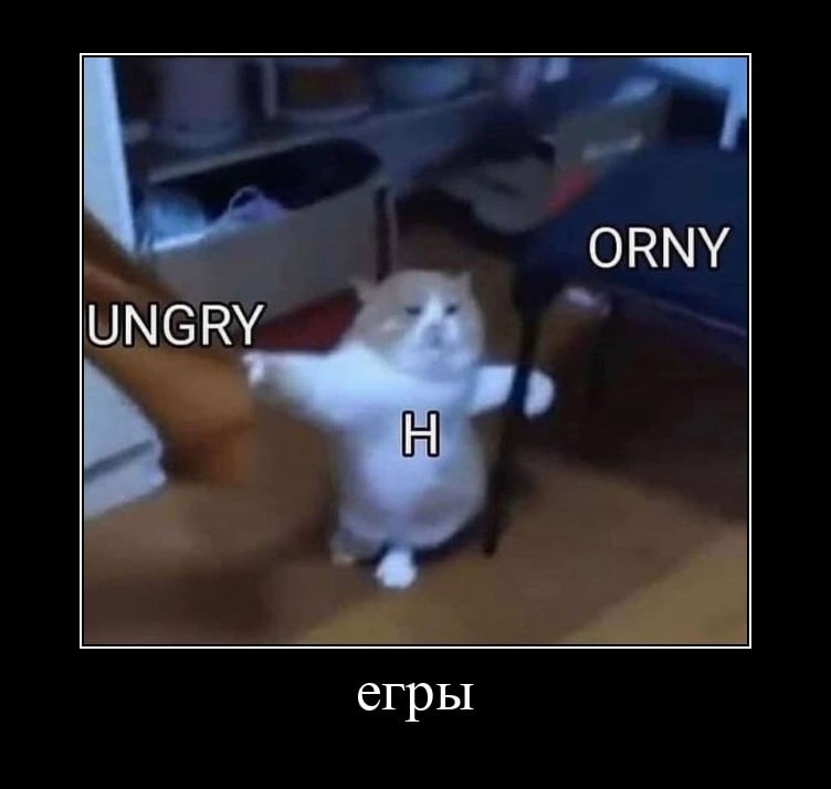 ORNY UNGRY егры