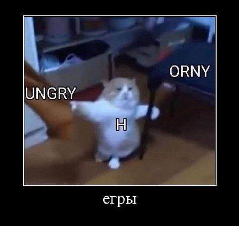 ORNY UNGRY егры