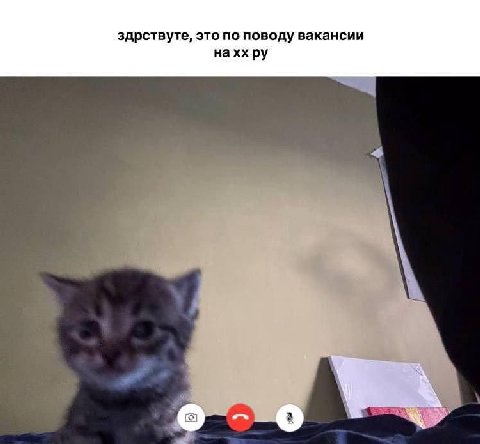 здрствуте, это по поводу вакансии наххру
