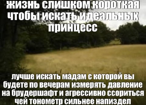 жизнь слишком чтобы принцесс лучше искать мадам с которой вы будете по вечерам измерять давление брудершафт и агрессивно ссориться чеи тонометр сильнее HANKS Aen