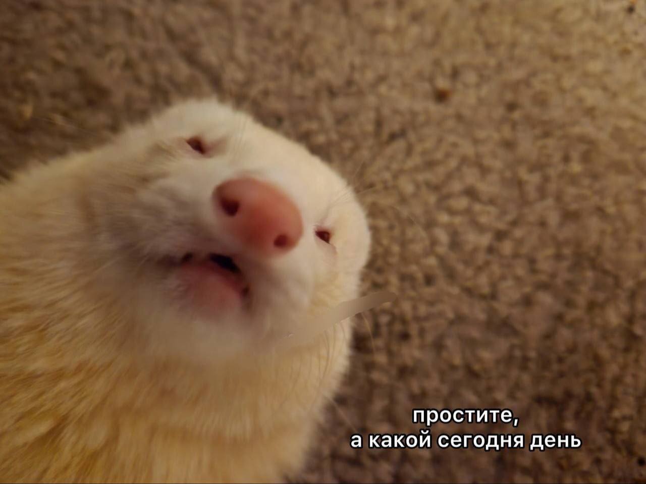 доброе утро…