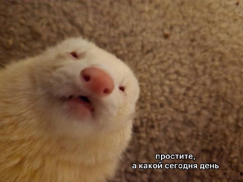 доброе утро…