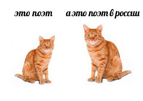 это поэт аэто поэт 6 россии 1