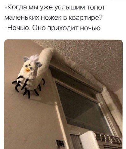 -Когда мы уже услышим топот маленьких ножек в квартире? -Ночью. Оно приходит ночью